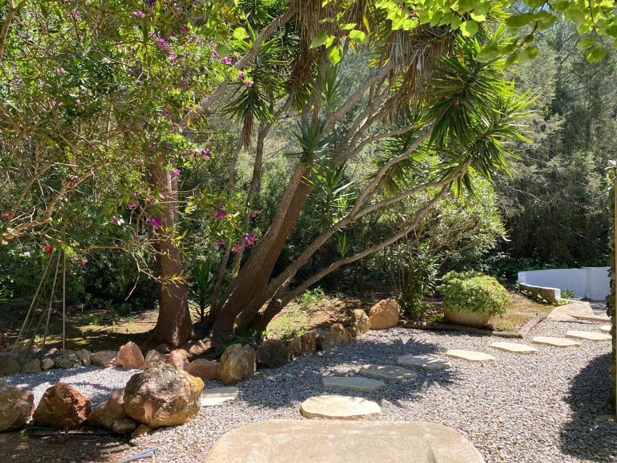 Can Iara Sant Miquel De Balansat ภายนอก รูปภาพ